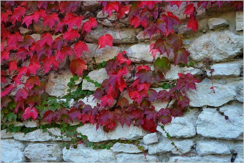 Grignan wall